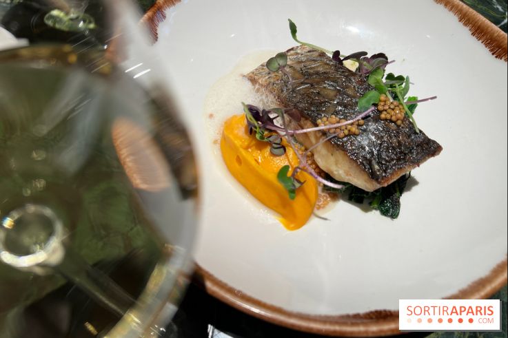 Onyx - Poisson, carotte, gingembre