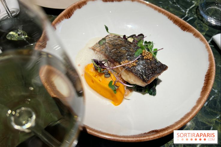 Onyx - Poisson, carotte, gingembre