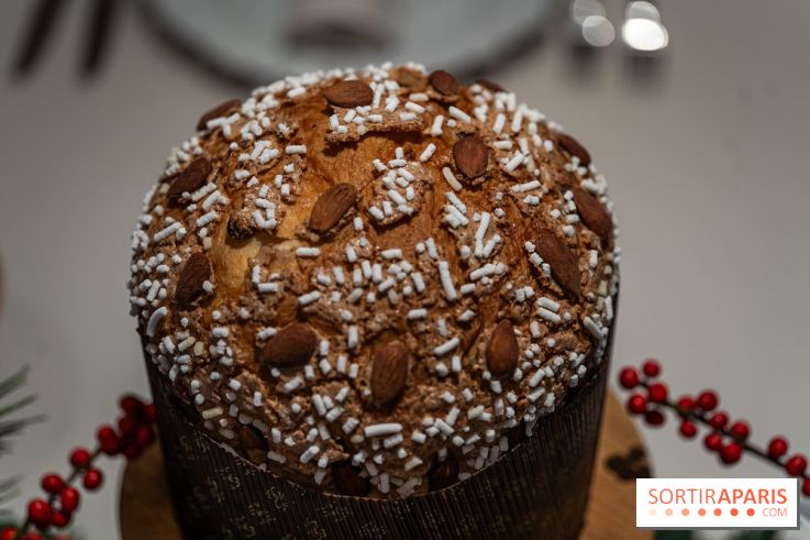 La Bûche de Noël 2024 et créations de Fête du Cheval Blanc par Maxime Frédéric et son équipe -  A7C6354