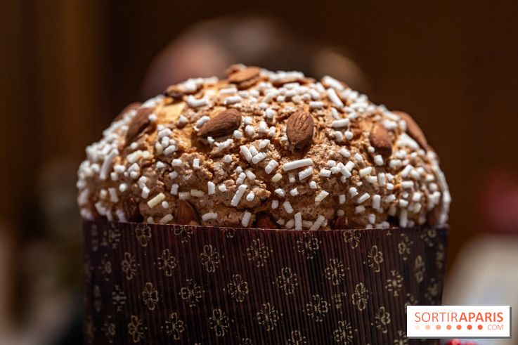 La Bûche de Noël 2024 et créations de Fête du Cheval Blanc par Maxime Frédéric et son équipe -  A7C6349