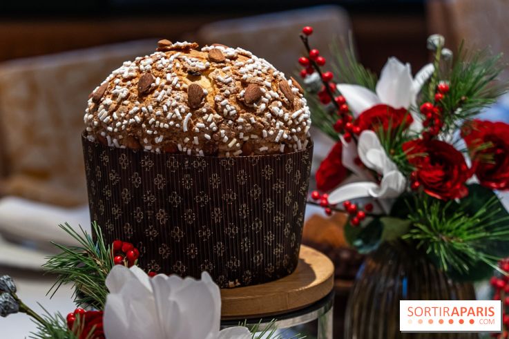 La Bûche de Noël 2024 et créations de Fête du Cheval Blanc par Maxime Frédéric et son équipe -  panettone