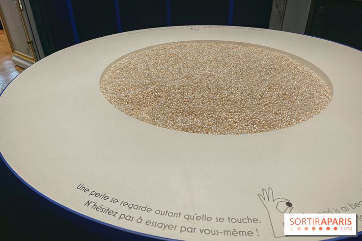 Paris, capitale de la perle  - IMG 6555