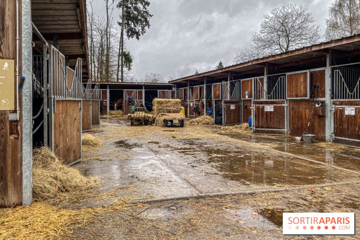 Domaine de Maffliers : notre test de l'escapade champêtre et équestre by Demeures de Campagne - IMG 1371