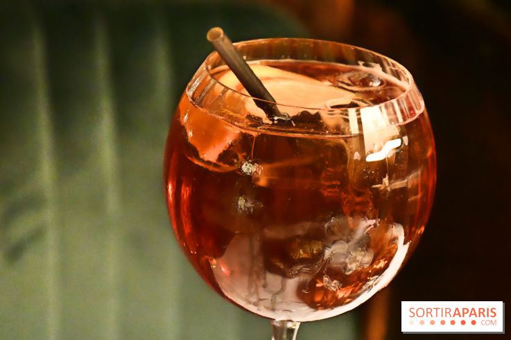 Le Wagon Bleu Paris, un restaurant insolite et festif aux accents corses - IMG 3315