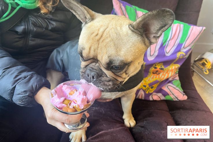 CAYU Canidés Club, la boutique d'accessoires dog friendly - nos photos