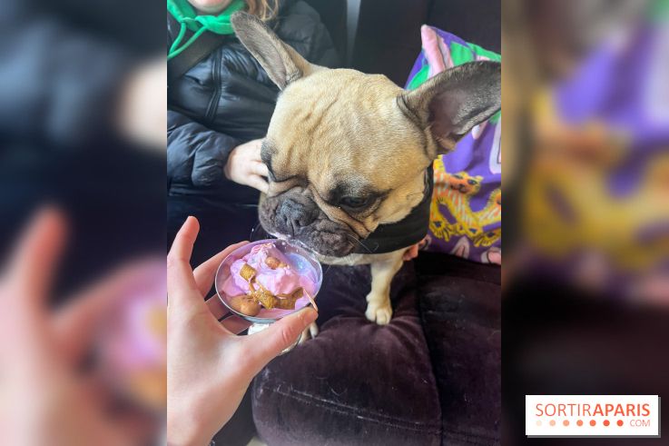 CAYU Canidés Club, la boutique d'accessoires dog friendly - nos photos