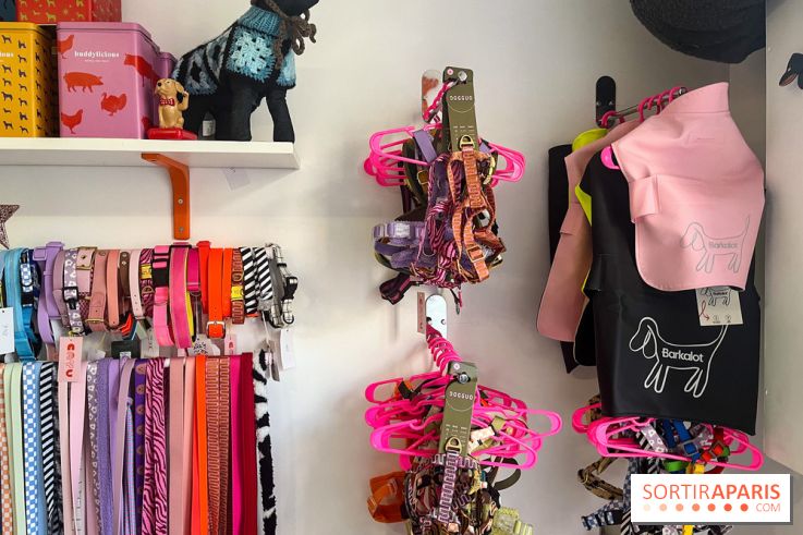 CAYU Canidés Club, la boutique d'accessoires dog friendly - nos photos
