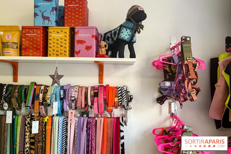 CAYU Canidés Club, la boutique d'accessoires dog friendly - nos photos