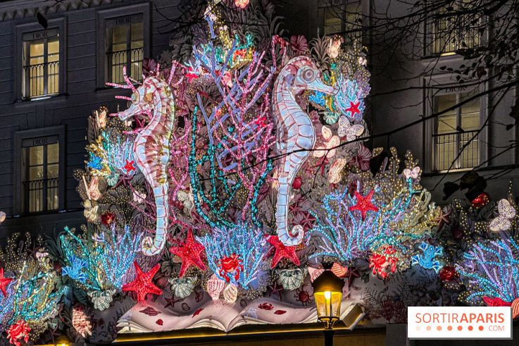 Les illuminations de Noël 2024 du Faubourg Saint Honoré avec Emmanuelle Béart - IMG 1627 jpg 2