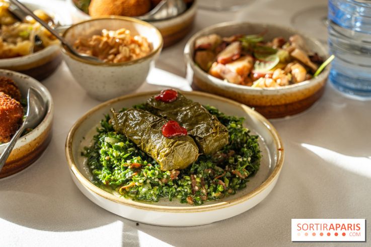 Osmossi par la maison Mavrommatis, le restaurant grec Paris 16e