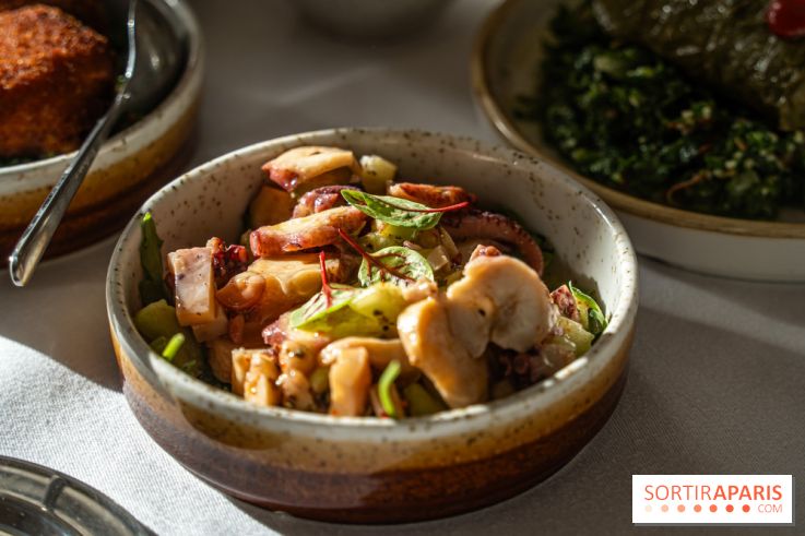 Osmossi par la maison Mavrommatis, le restaurant grec Paris 16e -  A7C7188