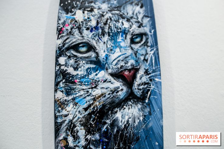 Boards to be solidaire 2024, nos photos - IMG 6873