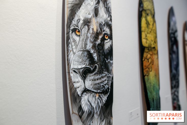 Boards to be solidaire 2024, nos photos - IMG 6875