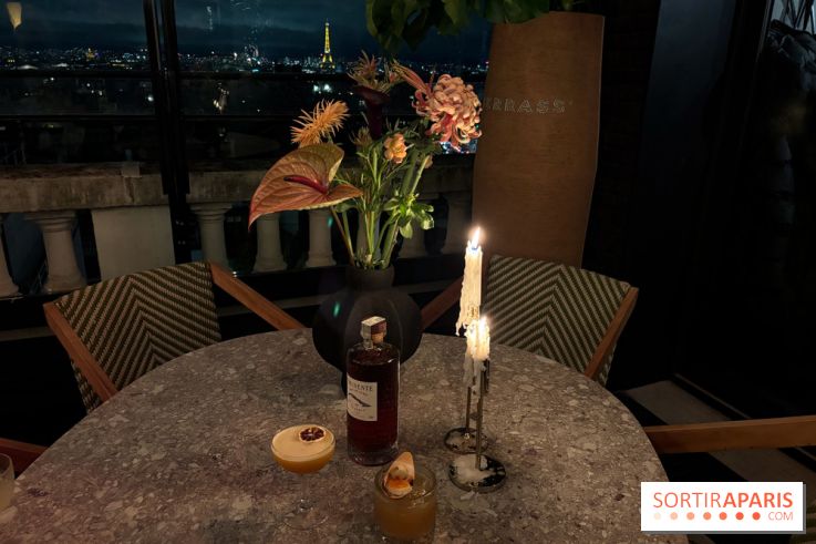 Terrazza eminente - vue sur Paris