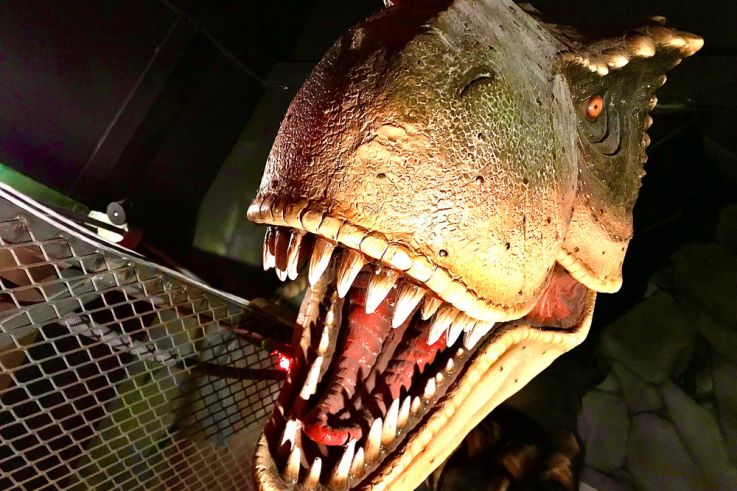 Campagne #34140 - Escape Game enfant Time Tripper Paris 14e