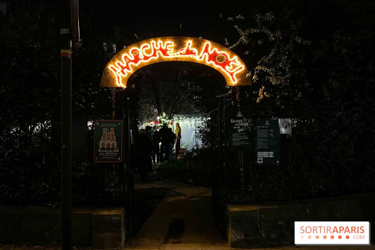 Le Marché de Noël de Notre Dame - IMG 2762 jpg