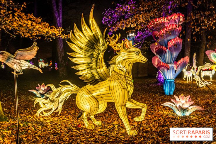 L'Odyssée Lumineuse 2024, le parcours de lumières au Parc Floral - les photos -  légende