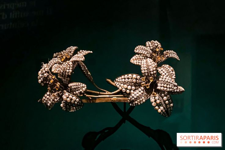 Bijoux de scène de l'Opéra de Paris : l'exposition de parures merveilleuses au Palais Garnier - IMG 2534 jpg