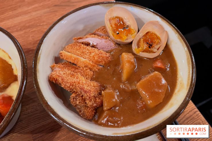 Jinchan Yokocho - Katsu curry don