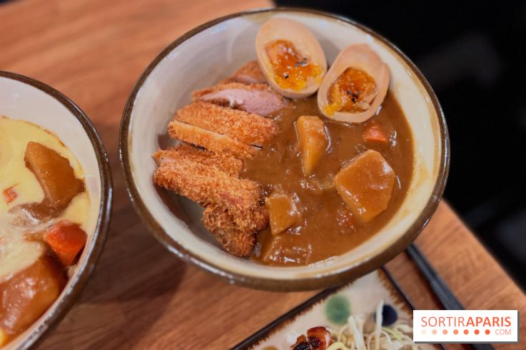 Jinchan Yokocho - Katsu curry don