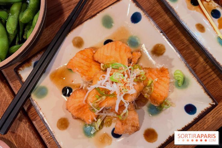 Jinchan Yokocho - Tranches de saumon frites