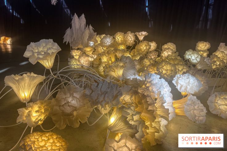 L'océan de Léa, l'exposition événement à la patinoire de Saint-Ouen - nos photos - image00038