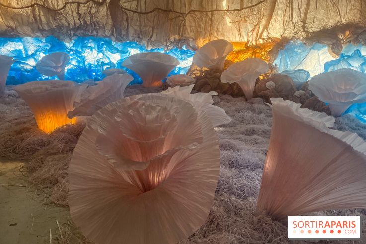 L'océan de Léa, l'exposition événement à la patinoire de Saint-Ouen - nos photos - image00041