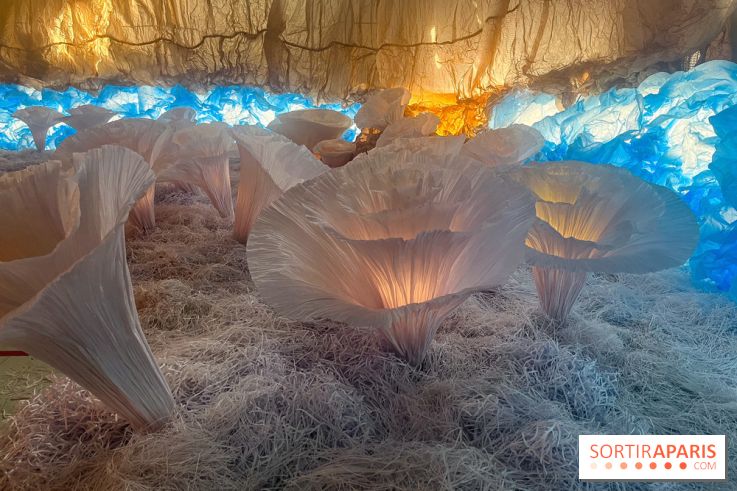 L'océan de Léa, l'exposition événement à la patinoire de Saint-Ouen - nos photos - image00042