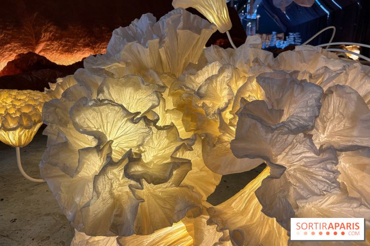 L'océan de Léa, l'exposition événement à la patinoire de Saint-Ouen - nos photos - image00032