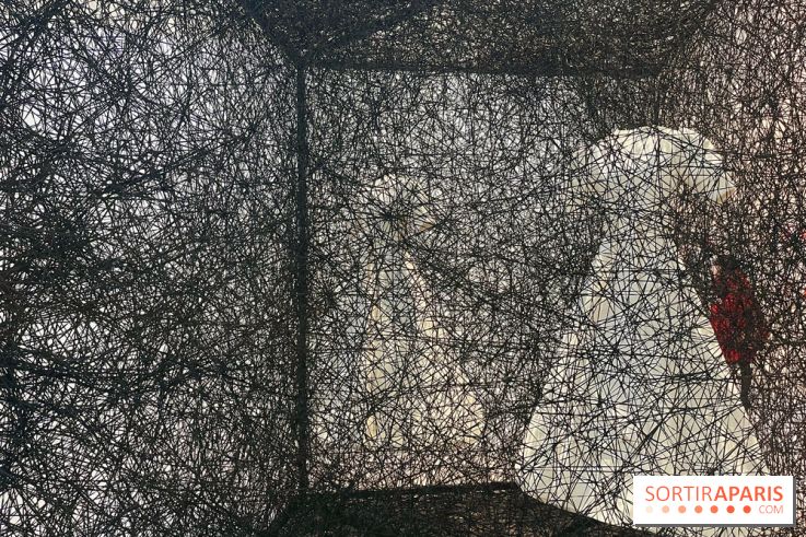 The Soul Trembles - IMG 7682