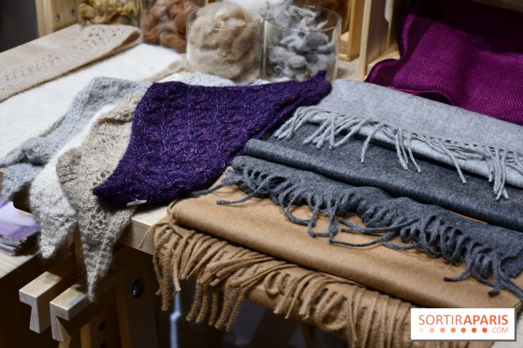 C'est le Pérou pour Noël, le pop-up store canon à Paris - DSC 2992