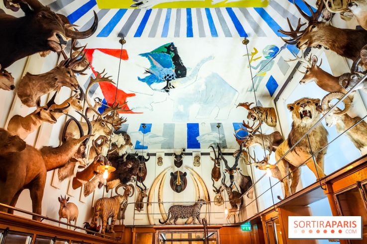 Musée de la chasse et de la nature - collections permanentes et visuels