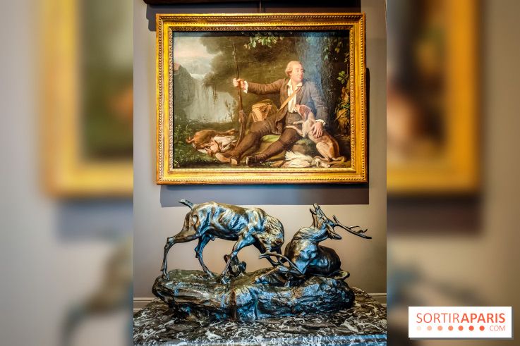 Musée de la chasse et de la nature - collections permanentes et visuels