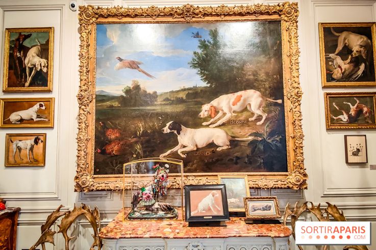 Musée de la chasse et de la nature - collections permanentes et visuels