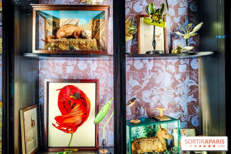 Musée de la chasse et de la nature - collections permanentes et visuels - IMG20241209153926