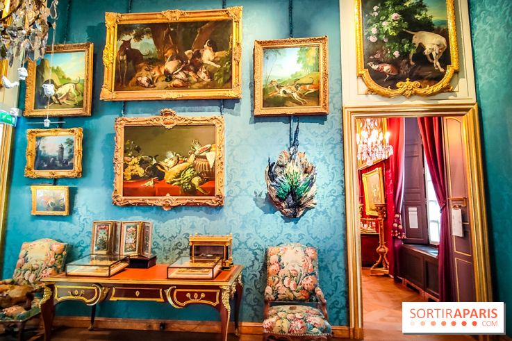 Musée de la chasse et de la nature - collections permanentes et visuels
