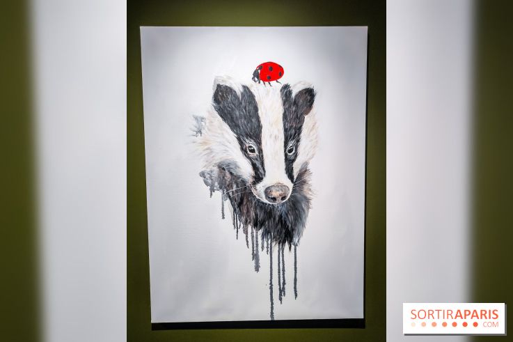 S'éclairer sans fin : l'exposition poétique d'Edi Dubien au musée de la Chasse et de la Nature - photos - IMG20241209153738