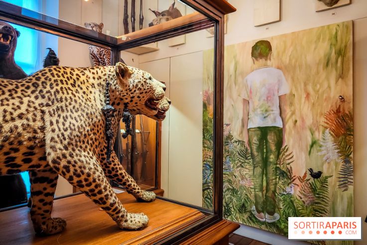 S'éclairer sans fin : l'exposition poétique d'Edi Dubien au musée de la Chasse et de la Nature - photos - IMG20241209152756