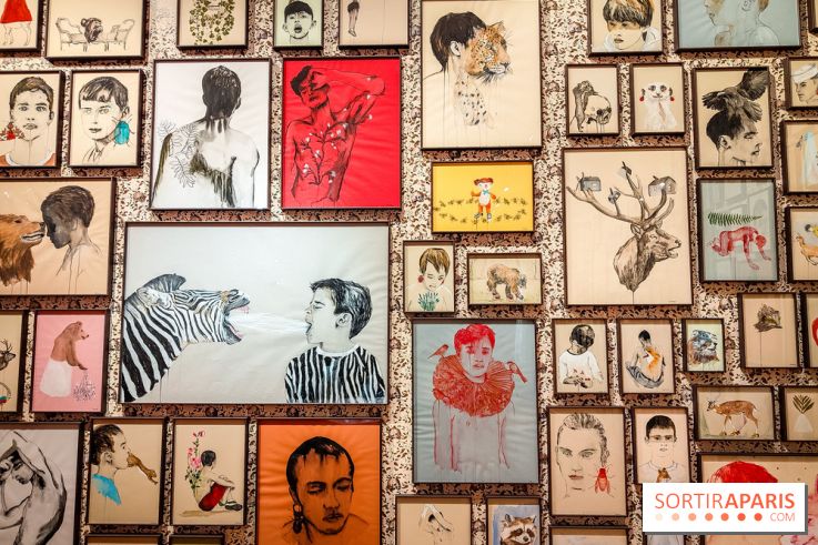 S'éclairer sans fin : l'exposition poétique d'Edi Dubien au musée de la Chasse et de la Nature - photos - IMG20241209145732