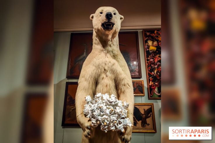 S'éclairer sans fin : l'exposition poétique d'Edi Dubien au musée de la Chasse et de la Nature - photos - IMG20241209152648