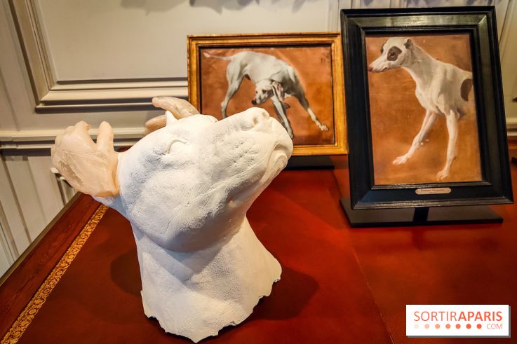 S'éclairer sans fin : l'exposition poétique d'Edi Dubien au musée de la Chasse et de la Nature - photos - IMG20241209152050