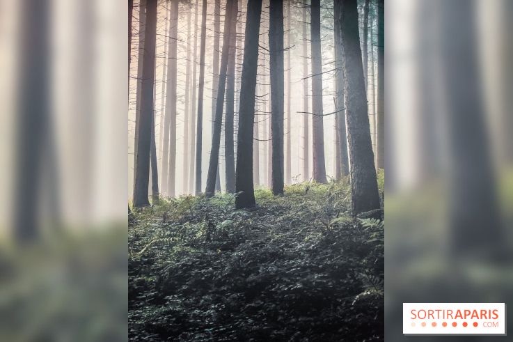 Silence : l'exposition immersive se dévoile à la Cité des Sciences et de l'Industrie - IMG20241210102205