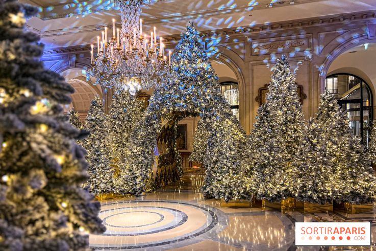 George V x Danico  - image00011