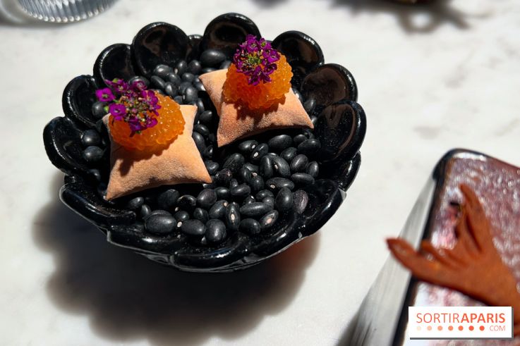 Virtus - Amuse-bouches