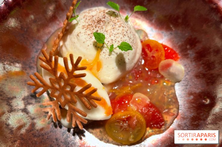 Virtus - Dessert main de bouddha