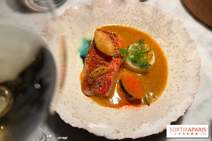 Virtus - Rouget à la flamme