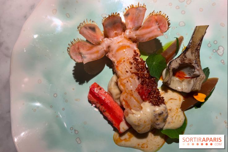 Virtus - Langoustine au sarrasin