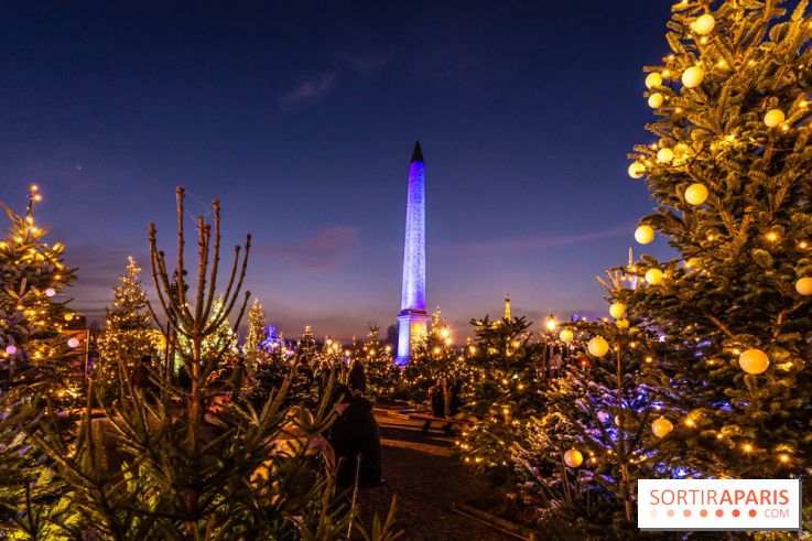 Le Marché de Noël de la Place de la Concorde à Paris -  A7C9422