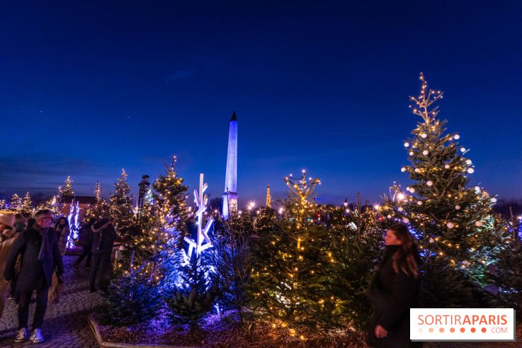 Le Marché de Noël de la Place de la Concorde à Paris -  A7C9428