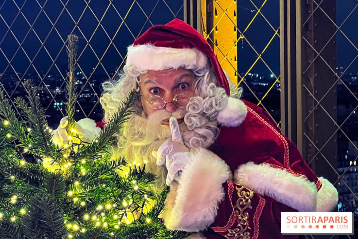 Noël 2024 à la tour Eiffel - image00030